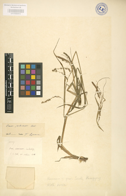 LE 01002612