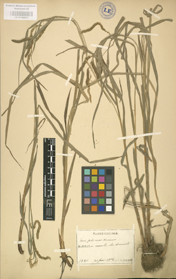 LE 01002613