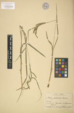 LE 01002615