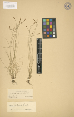 LE 01002617