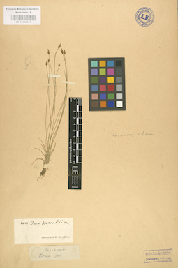LE 01002618