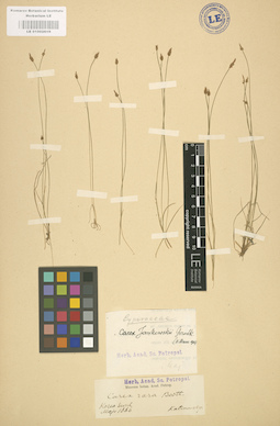 LE 01002619