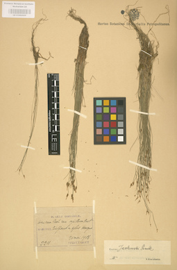 LE 01002620