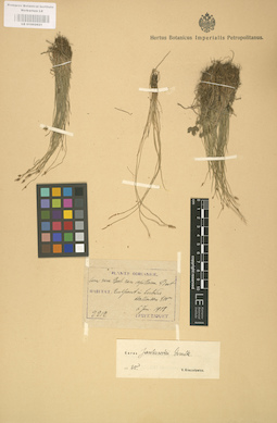 LE 01002621