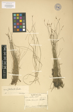 LE 01002622