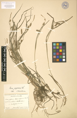 LE 01002623
