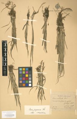 LE 01002624