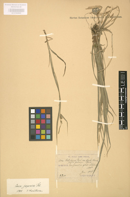 LE 01002625