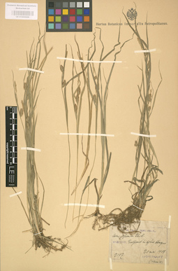 LE 01002626