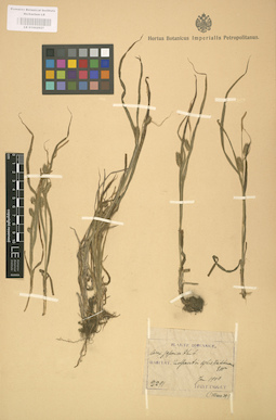 LE 01002627