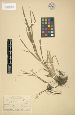 LE 01002629