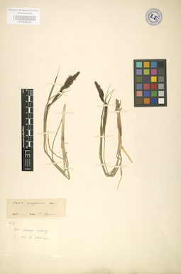 LE 01002630