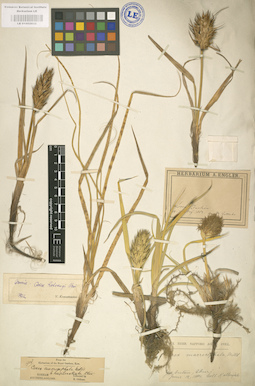 LE 01002632