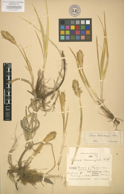 LE 01002633