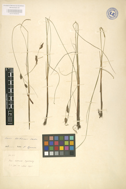 LE 01002635