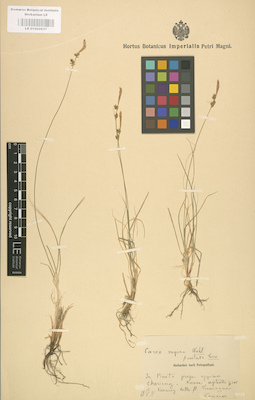 LE 01002637