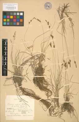 LE 01002638