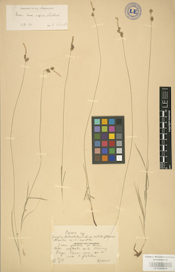 LE 01002639