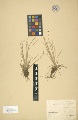 LE 01002648