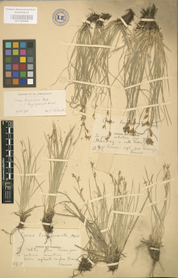 LE 01002649