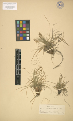 LE 01002651