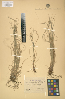 LE 01002654