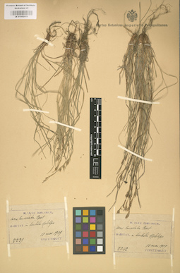 LE 01002655