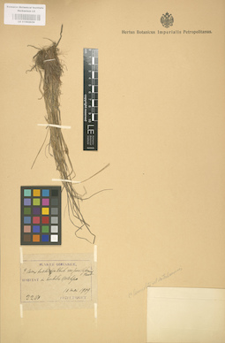 LE 01002659