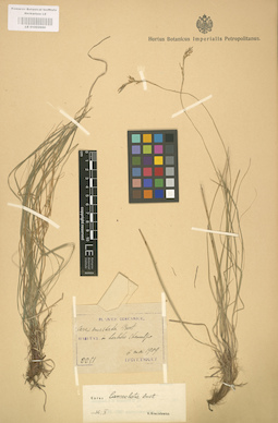 LE 01002660