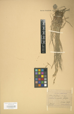 LE 01002661