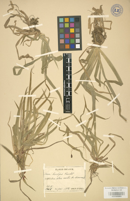LE 01002664