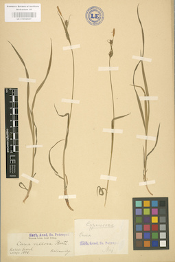 LE 01002667