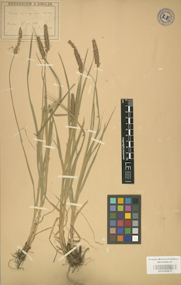 LE 01002672
