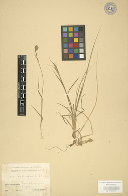 LE 01002673
