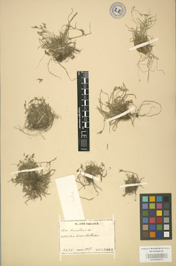 LE 01002674