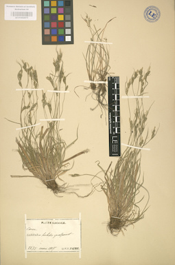 LE 01002675