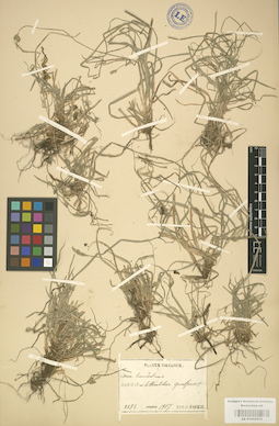LE 01002678