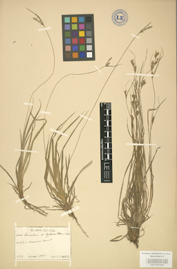 LE 01002680