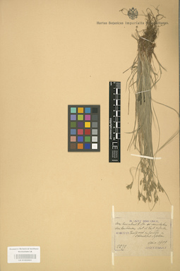 LE 01002681