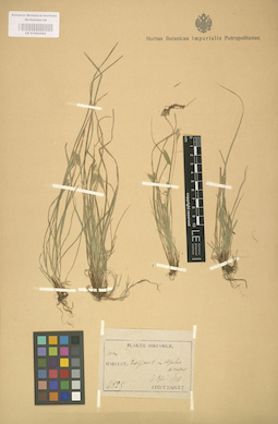 LE 01002682