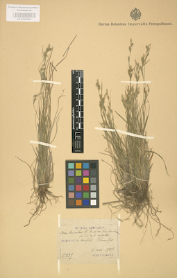 LE 01002686