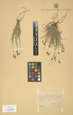 LE 01002687