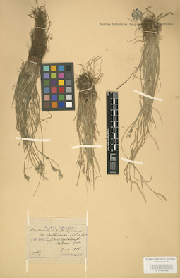 LE 01002688