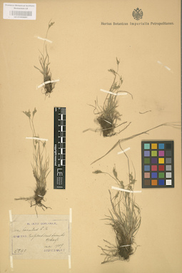 LE 01002691
