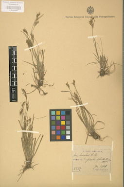 LE 01002697