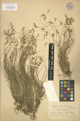 LE 01002698