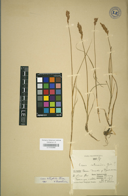 LE 01002699