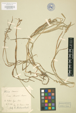 LE 01002704