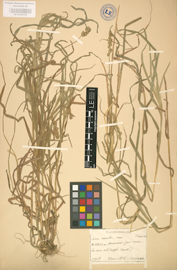 LE 01002705