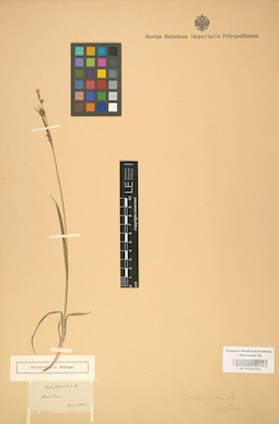 LE 01002706